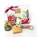 Godiva Chocolatier Easter Cheer Basket with Godiva Gourmet Chocolate Gifts