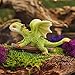 Top Collection Rex The Green Dragon - Mini Collectible Fantasy Figurine (The Skateboarder)