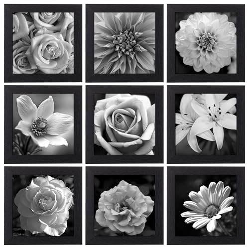 Eletecpro Picture Frames Acrylic Cover