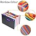 Oak-Pine 24 Pocket Expanding File Folder - Large Plastic Rainbow Expandable File Organizer Self Standing Accordion A4 Document Folder Wallet Briefcase Business Filing Box