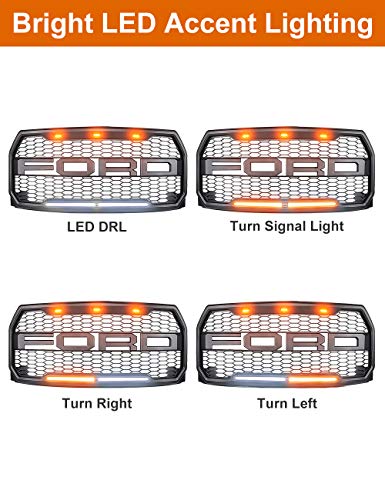 1 Raptor+innhom+Grille+2015+2017+Accent