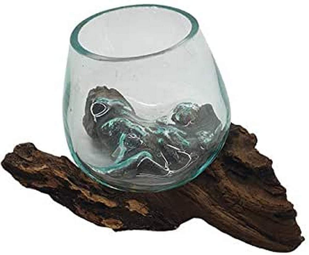 VIE Naturals Molten Glass Terrarium on Balanese Gamal Wood Bowl, 10 cm Height, One, VN601 — image 1