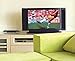 TERK Omni-Directional, Amplified Digital Flat Indoor HDTV Antenna