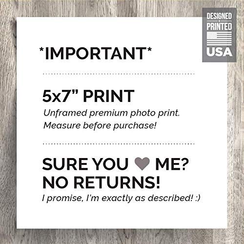 5x7" *UNFRAMED PRINT* Do not Flush Bathroom Sign Septic System Sensitive Plumbing No Feminine Sanitary Products Tampons Paper Towels Tissues Wipes Decor Art Hotel Restaurant airbnb Bags