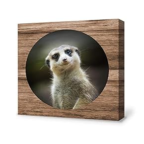 Funny Cat Painting Wall Poster Decor for Living Room Framed