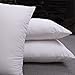Pal Fabric Square Sham Pillow Insert 18