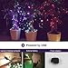 PLAYBULB 33 Foot / 10 Meter Waterproof Smart Led String Lights, Color Changing LED Lighting Chains Control via Smartphone App, USB/Battery Powered Xmas, Wedding