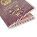 Honbay 10PCS Plastic Passport Cover Passport Protector with Extra Slots for CN, US, UK and Other Standard Size Passports (clear)