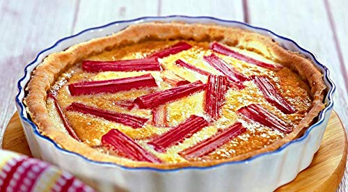 Rhubarb Seeds Pie Plant Around 50 Seeds - Thumbnail 5