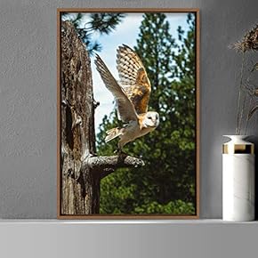 signwin Framed Canvas Wall Art Owl Birds Dramatic...