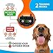 Smart Rechargeable Humane Bark Collar – Anti Barking Dog Collars with Beep Vibration, No Harm Shock, 5 Sensitivity Levels – Adjustable for Large, Medium or Small Dogs – Smart Q9 Bark Control Devicethumb 1
