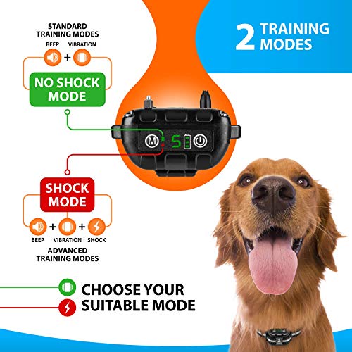 Smart Rechargeable Humane Bark Collar - Anti Barking Dog Collars with Beep Vibration, No Harm Shock, 5 Sensitivity Levels - Adjustable for Large, Medium or Small Dogs - Smart Q9 Bark Control Device