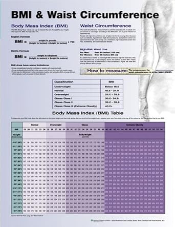 Bmi And Waist Circumference Chart Anatomical Chart Company