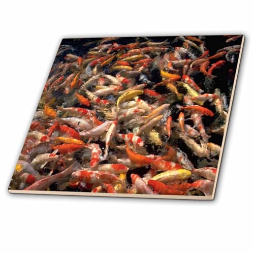 3dRose Koi Fish 4 Inch Ceramic Tile
