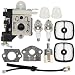 Allong RB-K106 Carburetor with Repower Kit Air Filter Spark Plug Fuel Filter for Echo ES-250 PB-250 PB-250LN Handheld Blower A021003661 primary