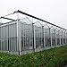 Topeakmart Greenhouse Plastic Film Clear Polyethylene UV Resistant Greenshouse Cover Greenhouse Plastic,12 ft Wide x 25 ft Long