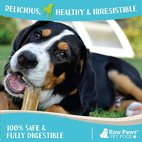 Raw Paws 12 inch Compressed Rawhide Bones for Large Dogs, 2ct Packed in USA, FreeRange