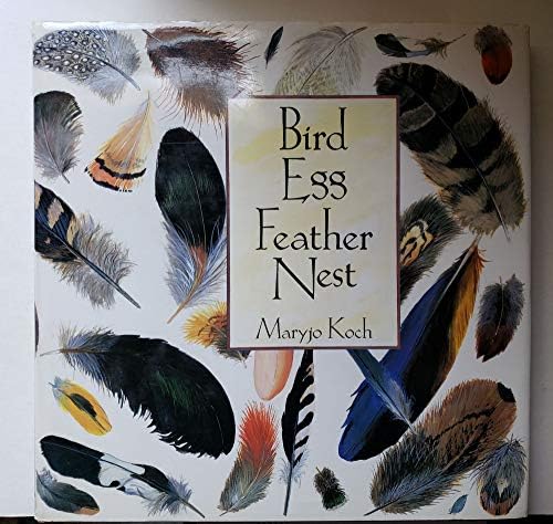 BIRD EGG FEATHER NEST