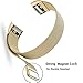 Maledan for Fitbit Charge 2 Bands, Stainless Steel Milanese Loop Metal Replacement Accessories Bracelet Strap with Unique Magnet Lock for Fitbit Charge 2 HR Gold Small