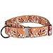 CollarDirect Martingale Collars for Dogs Heavy Duty Floral Pattern Female Safety Nylon Training Wide Collar Flower Design Large Medium (L, Neck Size 15