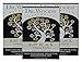 Dr. Woods Raw Black Exfoliating Body Bar with Organic Shea Butter, 5.25 oz (Pack of 3)