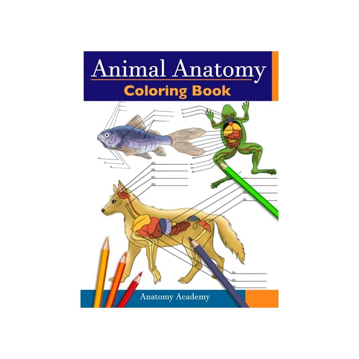 Buy Animal Anatomy Coloring Book Incredibly Detailed SelfTest Veterinary Anatomy Color