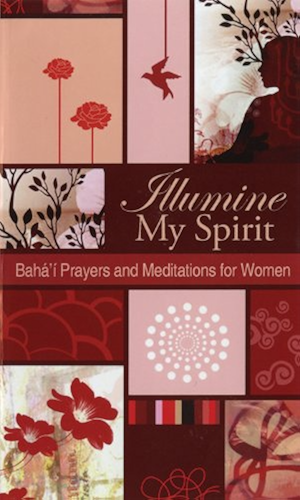 Download Illumine My Spirit: Bahai Prayers and mediations for Women (Illumine My series) (English Edition) PDF