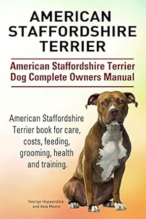 american staffordshire terrier care
