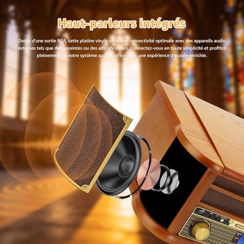 9 in 1 Turntable with Bluetooth, AM/FM Radio, CD and Cassette Player, USB Playback, Remote Control, Built-in Speakers, Vintage Turntable