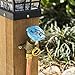 SharkBite 3/4 Inch x 3/4 Inch MHT Garden Valve, Multi Turn, Push to Connect Brass Plumbing Fitting, PEX Pipe, Copper, CPVC, PE-RT, HDPE, 24623LF
