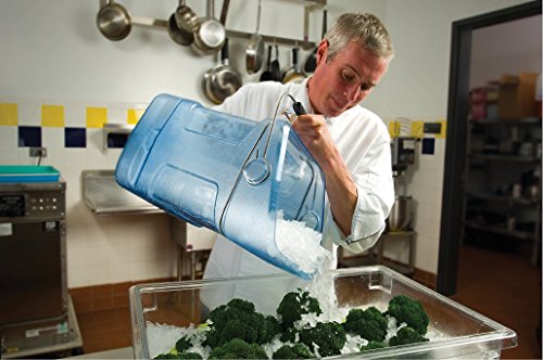 Rubbermaid 9F53 5.5 gallon Capacity, 10.5" Length x 13.3" Width x 17.8" Height, Transparent Blue Color, Safe Ice Tote - Thumbnail 5
