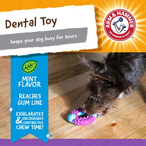 Arm & Hammer for Pets Nubbies Orion Dog Dental Toy Best Dog Chew Toy