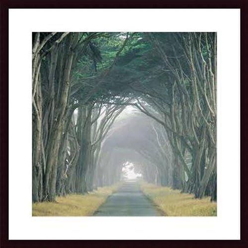 Printfinders Corridor of Cypress by E. Loren Soderberg Wood Framed Art Print