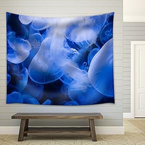 Transparent Jellyfish - Fabric Wall Tapestry Home Decor - 51x60 inches