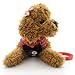 SELMAI Stylish Red Plaid Suits Mesh Dog Tuxedo Harness Vest Leash Set for Small Toy Dog Cat Puppy Adjsutable No Pull M