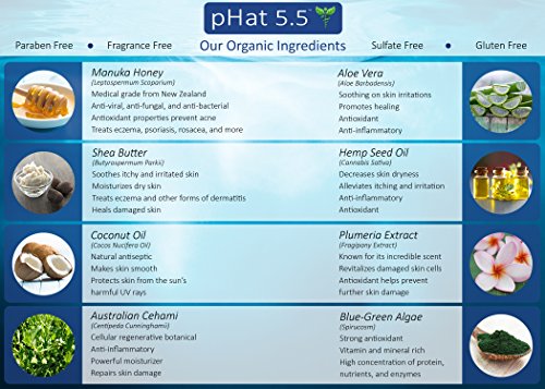 Seborrheic Dermatitis Cream (4 oz) by pHat 5.5 - Face and Body Skin Treatment