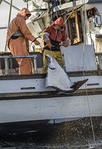 Wild Alaskan Halibut - Overnight Shipping Monday -Thursday