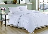 White Polyester Medium Warmth Twin Down Alternative Comforter Duvet Insert,68