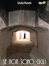 Para hablar de la sociedad la sociologiacute;a no basta (Sociologiacute;a y Poliacute;tica) (Spanish Edition)