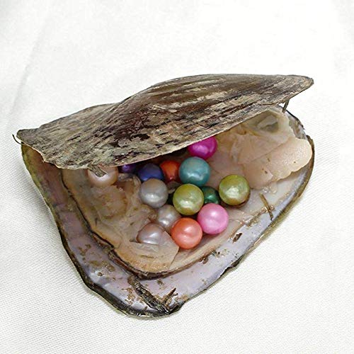 3 Pieces+Freshwater+Cultured+Oysters+Packaging