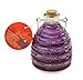 Toland Home Garden Large Purple/Grape Pesticide-Free 5.5-Inch Diameter Glass Wasp and Fruit Fly Trap 10249