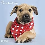 Rachael Hale Dogs Wall Calendar (2019) by 