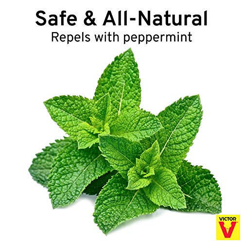 Victor M805 ScentAway Natural Rodent Repeller Peppermint Oil Mouse and Rat Repellent 5 High