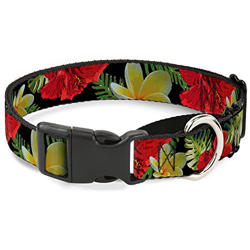 Buckle-Down Tropical Floral Collage Black/Red/Orange Martingale Dog Collar, 1"…