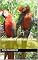 Livro As Aventuras de Dona Flor e Abelhinha