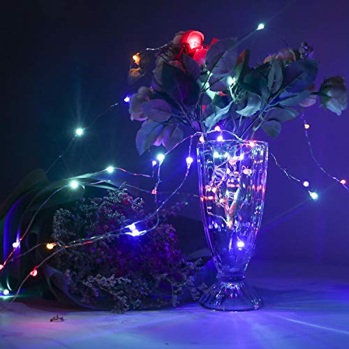 BXROIU 2 x Fairy String Lights with Timer Battery Operated Silver Wire 3 Mode Chains 16.5ft 50 LEDs Firefly String Lights for Bedroom Christmas Party Wedding Decoration (Multicolor)