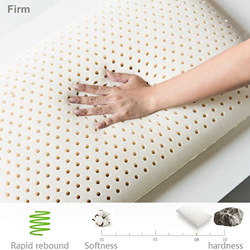 TALATEX 100 Natural Premium Latex Pillow, Dunlop Pillow Helps Relieve