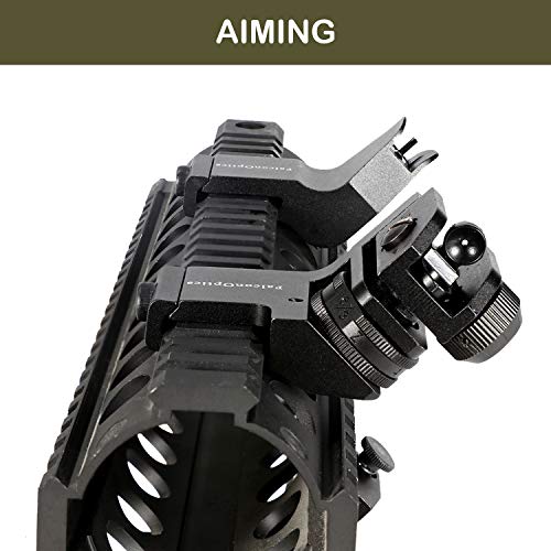 FalconOptics Canted Sights 45 Degree Rear Sight and Front Sight Iron