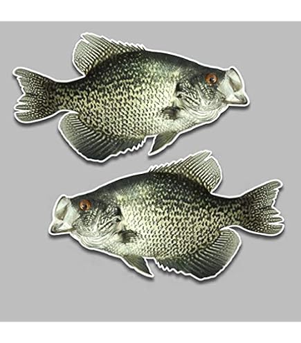 Crappie Fishing USA Flag Vinyl Sticker - 5" Outdoor Rated Decal For Cars, Windows & Gear
