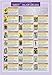 Tarot, Major & Minor Arcana Arcana - Two Sided Color Informational Chart